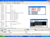 C++反汇编基础：Win32平台(逆向实例、动态调试实例)[中文讲解]